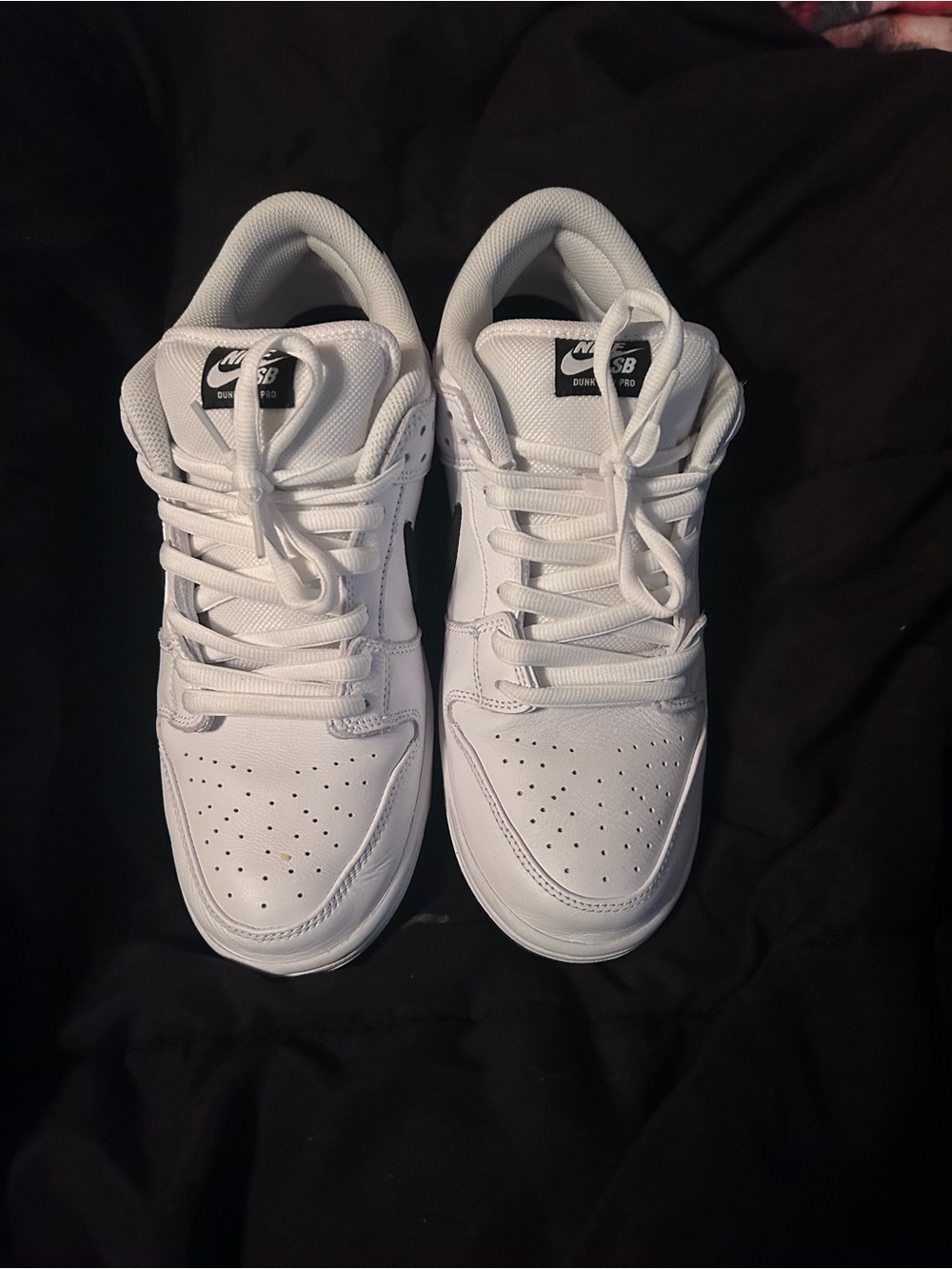 Nike Sb white/black dunks
